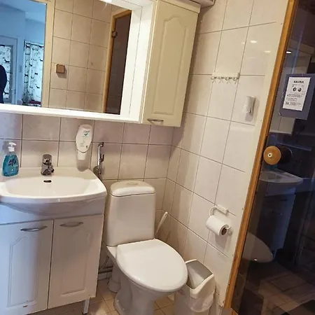 Saunallinen Lomahuoneisto Levistar 1