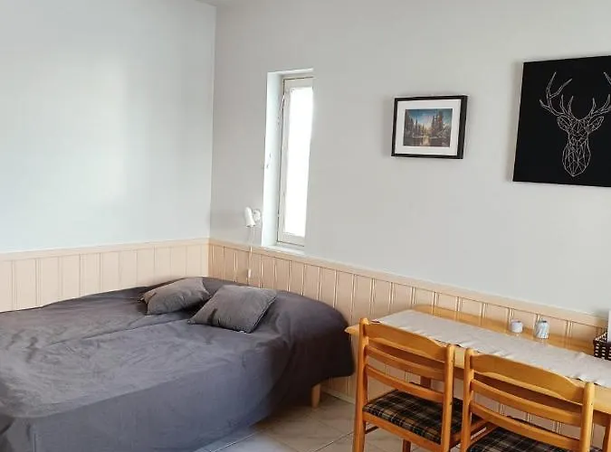 Saunallinen Lomahuoneisto Levistar 1 公寓 基蒂莱