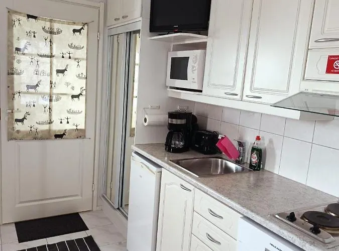 Saunallinen Lomahuoneisto Levistar 1