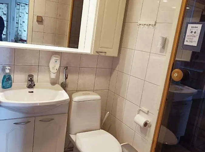 Saunallinen Lomahuoneisto Levistar 1