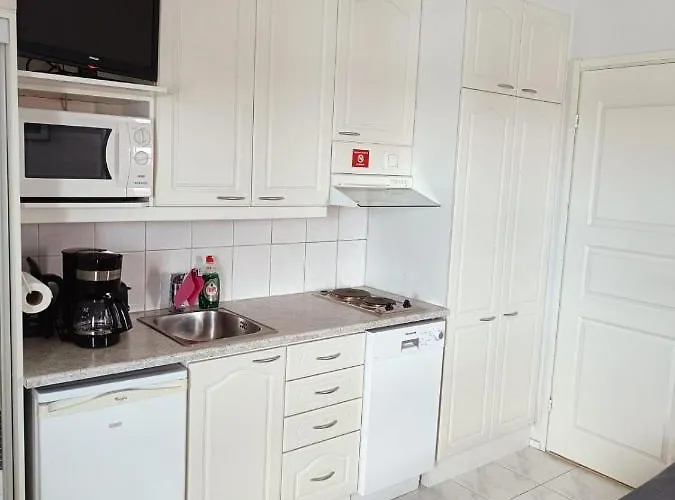 Saunallinen Lomahuoneisto Levistar 1 基蒂莱